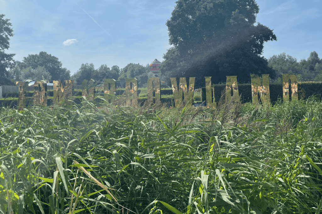 A gold sign of Tomorrowland in grass